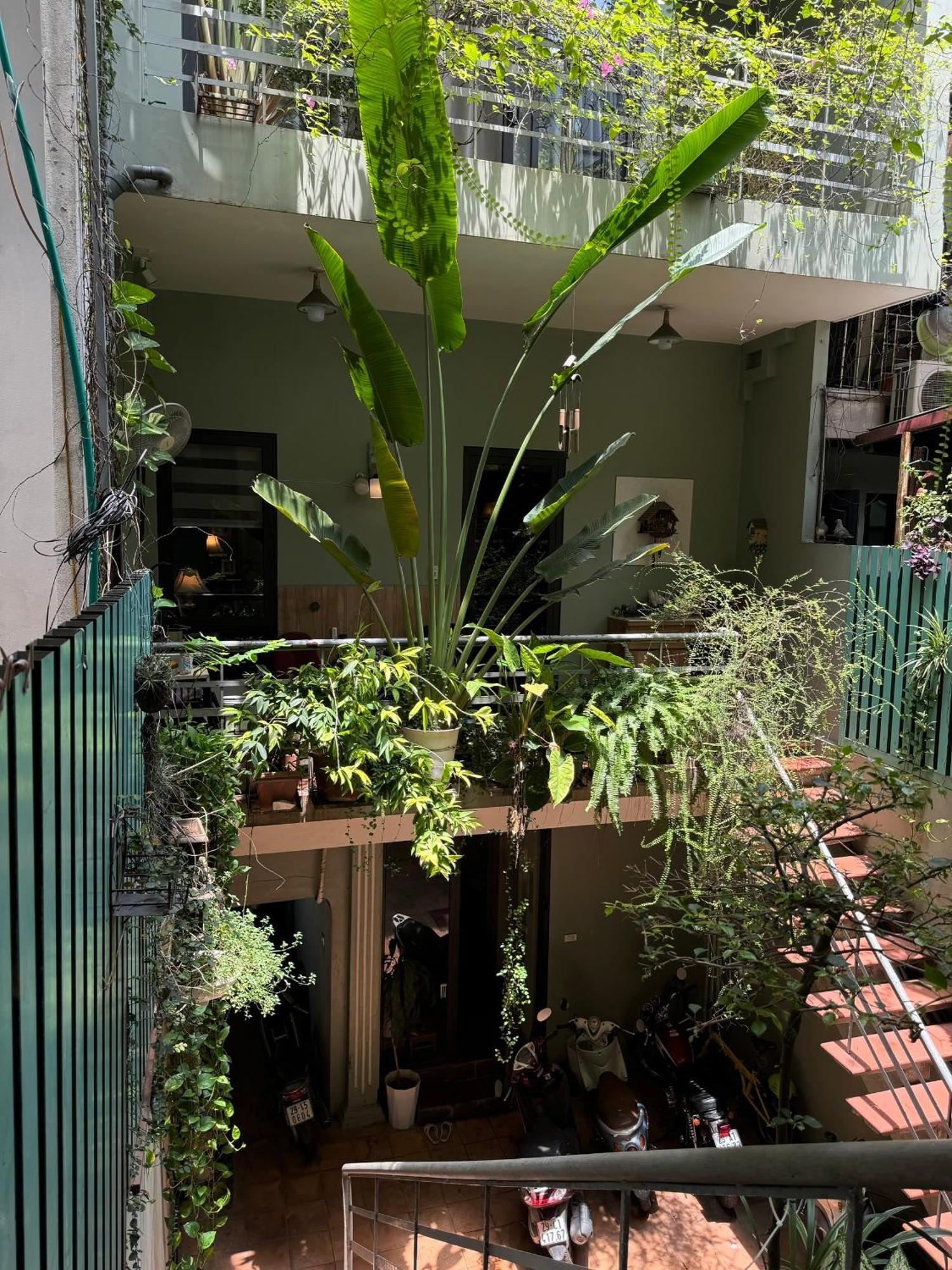 Căn hộ Super Location 